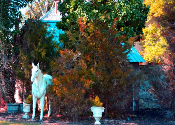 2022-02-27_Hotel du Village_Lodging (Appledore)-10001.JPG