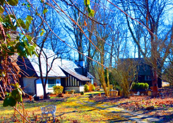 2022-02-27_Gothic Cottage & Studio0001.JPG