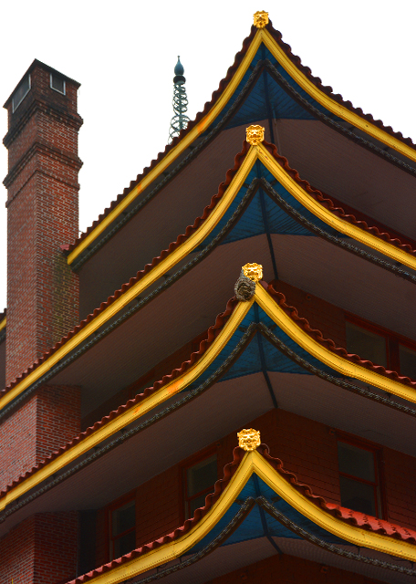 2022-03-05_Pagoda_Anlged Rafter-20001.JPG