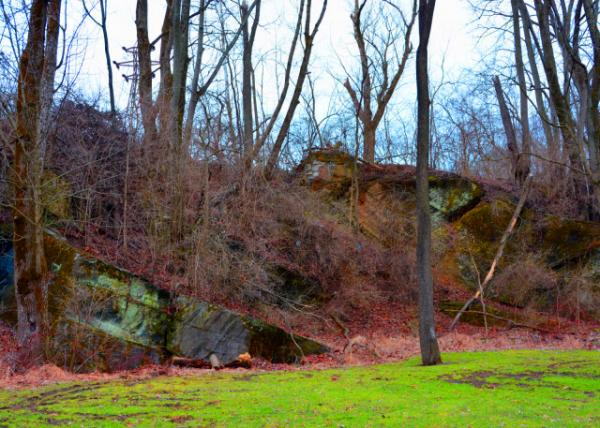 2022-03-25_Limestone Rock Outcrop Containing Lime_ Silica_ & Alumina-10001.JPG