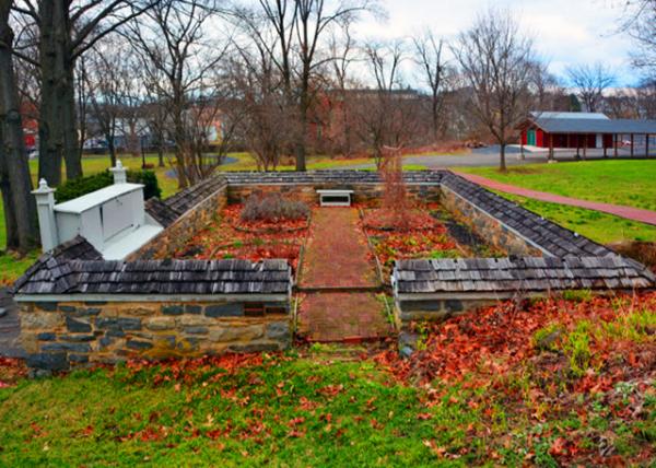 2022-03-25_Veggie Patch0001.JPG