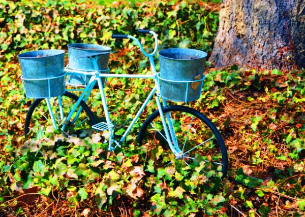 2022-04-02_Flower Pods @ 505 4th St0001.JPG