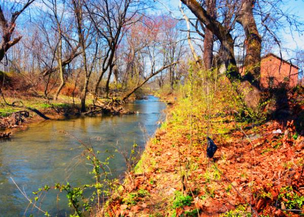 2022-04-02_Lehigh Canal0001.JPG