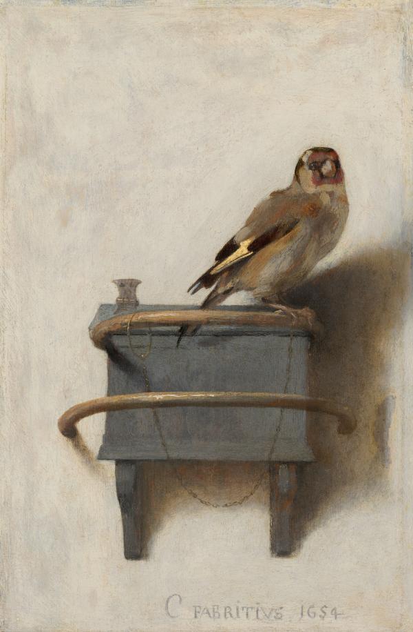 1764197075311110.jpg Fabritius-vink.jpg