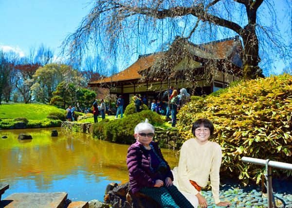 2022-04-08_Shofuso  Surrounded by Dogwood and Cherry Trees-10001.JPG