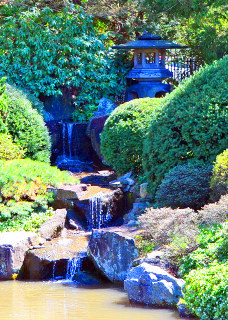 2022-04-08_Koi Pond_Japanese Stone Lanterns & Waterfall-20001.JPG