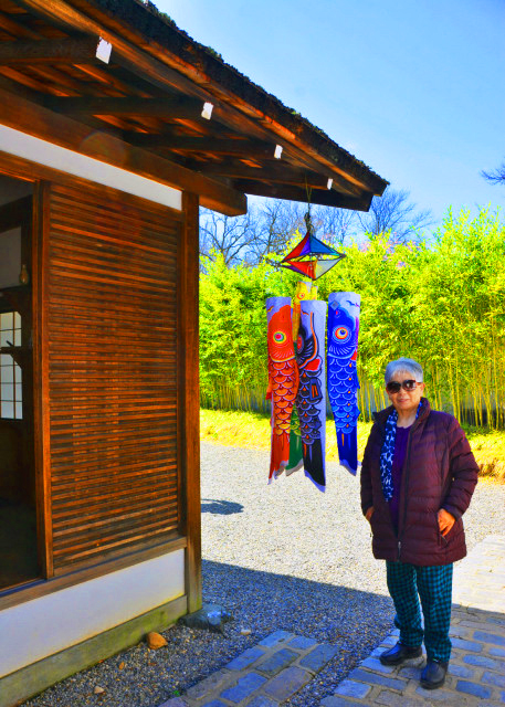 2022-04-08_Carp Wind Sock Flag_ Yard Koinobori Hanging Decor0001.JPG