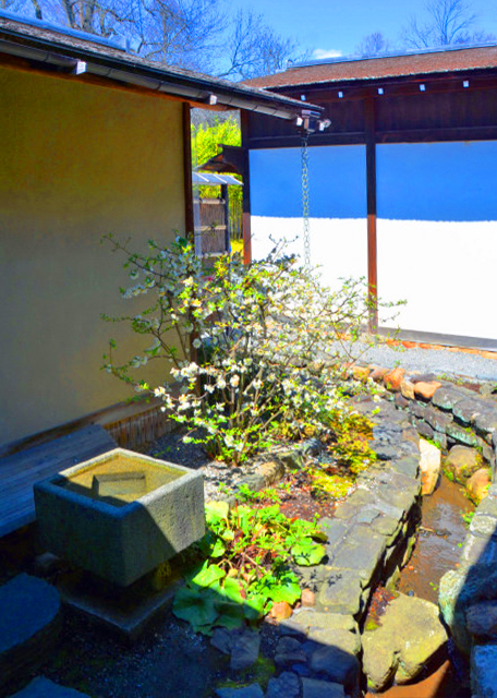 2022-04-08_Water Rm_Water Storage Area0001.JPG