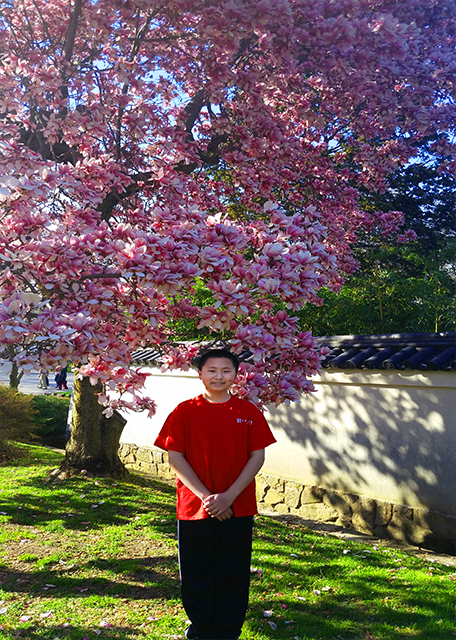 1764206650890465.jpg 2015-04-18_Magnolia Blossom.jpg