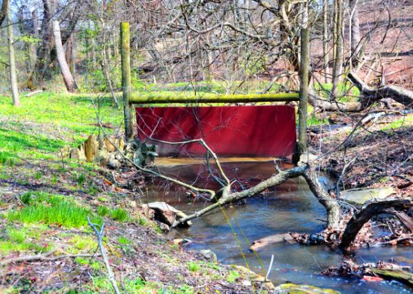 2022-04-08_Lansdowne Creek Sluice0001.JPG