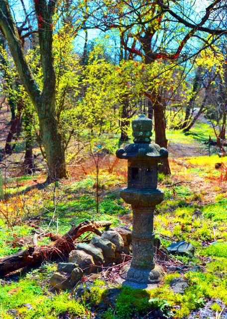 1764206834332397.jpg 2022-04-08_Lansdowne Creek Valley_Stone Lattern-20001.JPG