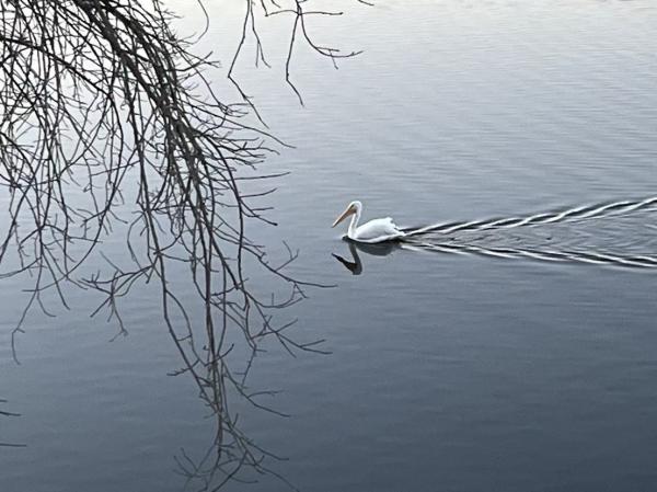 1764258822296178.jpg FYRB6625.JPG