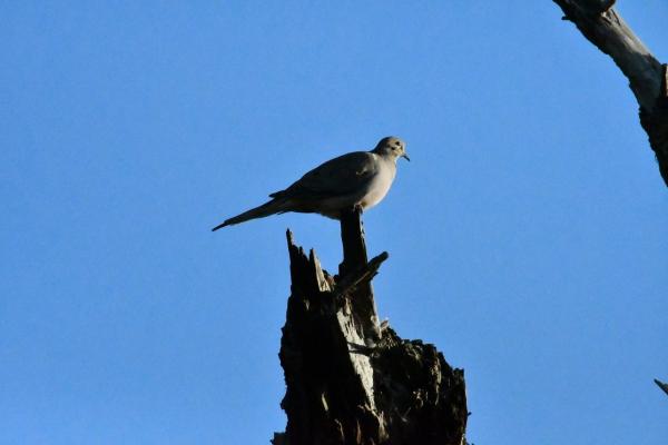 1764258912566130.jpg 059.JPG