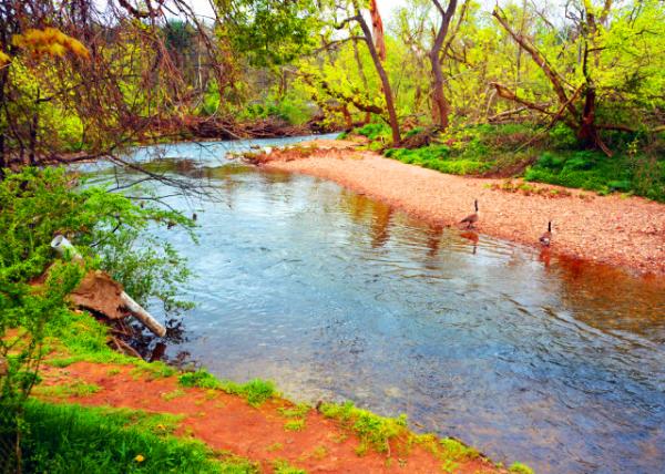 2022-04-25_Wissahickon Creek-10001.JPG