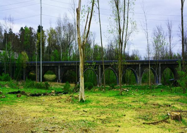 2022-04-25_Ft Washington SP across a Branch of Wissahickon Creek0001.JPG
