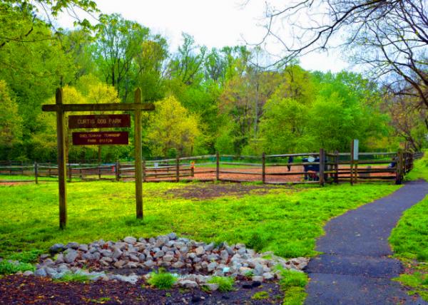 2022-05-08_Curtis Dog Park0001.JPG