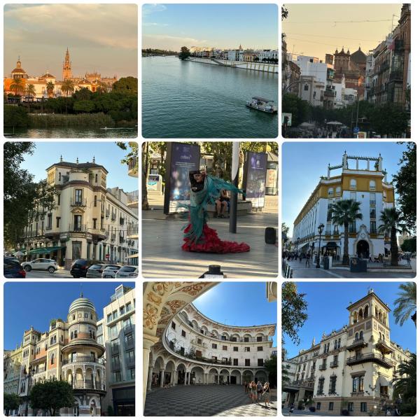 1764341682227137.jpg 03EB24DC-ACC9-406E-BD9A-6D617E421F72 (4).jpg