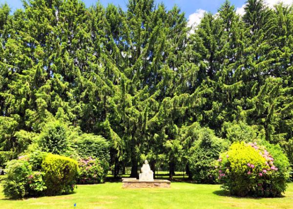 2022-05-29_A Bronze Flat Marker Cemetery_Heavenly Blessing0001.JPG