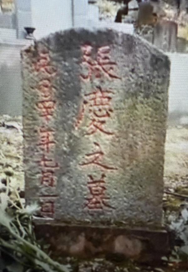 1764401289938403.jpeg IMG_0474.jpeg