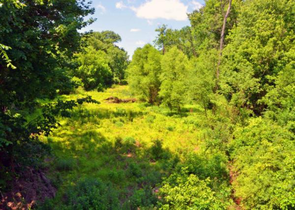 2022-06-19_Collegeville_Perkiomen Trail0001.JPG