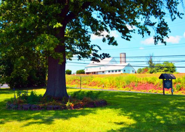 2022-06-19_Royersford_Isaac Hunsberger House @ 545 W Ridge Pike0001.JPG