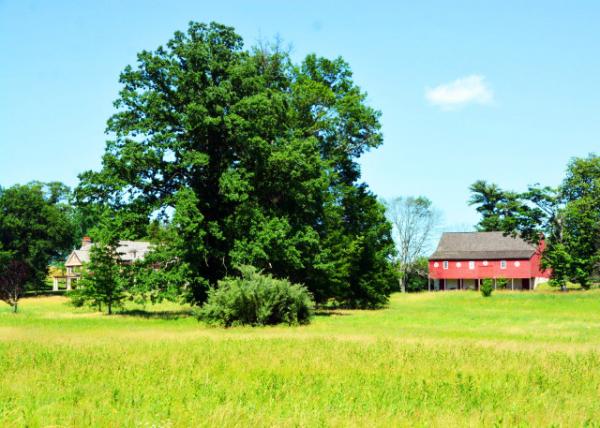 2022-06-19_Schwenksville_Pennypacker Mills Built in 17200001.JPG