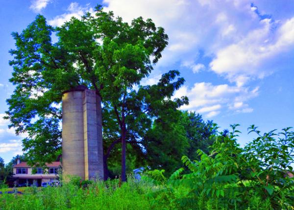 2022-07-03_Edward Morgan Log House_Silo0001.JPG