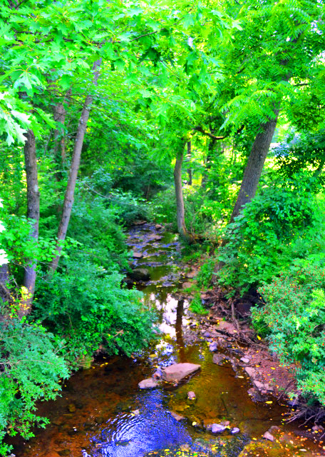 2022-07-03_Towamencin Creek0001.JPG