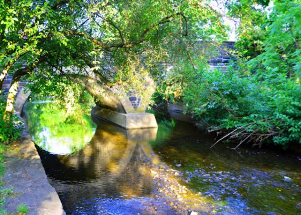 2022-07-03_Wissahickon Watershed_Swedesford Road Bridge (1873)-10001.JPG