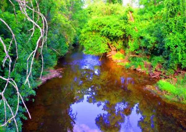 2022-07-03_Wissahickon Watershed defined by the land-area where rainfall and snowmelt flows into the Wissahickon Creek and its tributaries-10001.JPG
