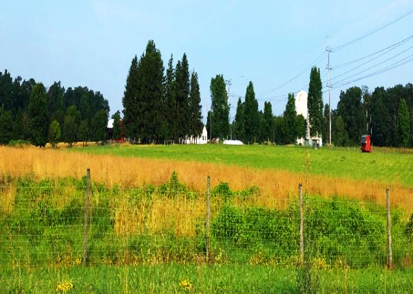 2019-07-10_Roth Living Farm Museum0001.JPG