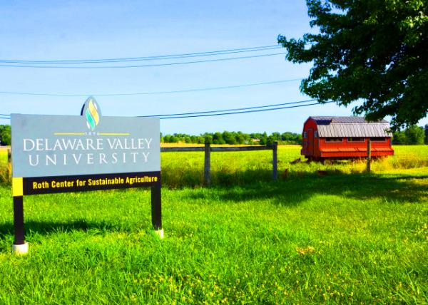 2022-07-04_KnipeCJohnson Farm_Roth Center for Sustainable Agriculture0001.JPG