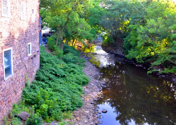 2022-07-04_Stony Creek-20001.JPG