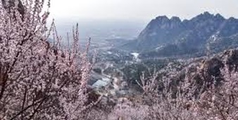 1764454972313817.jpeg image.jpeg