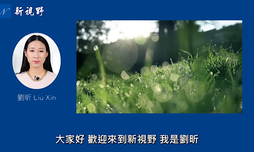 1764522591756782.png IMG_4131.png