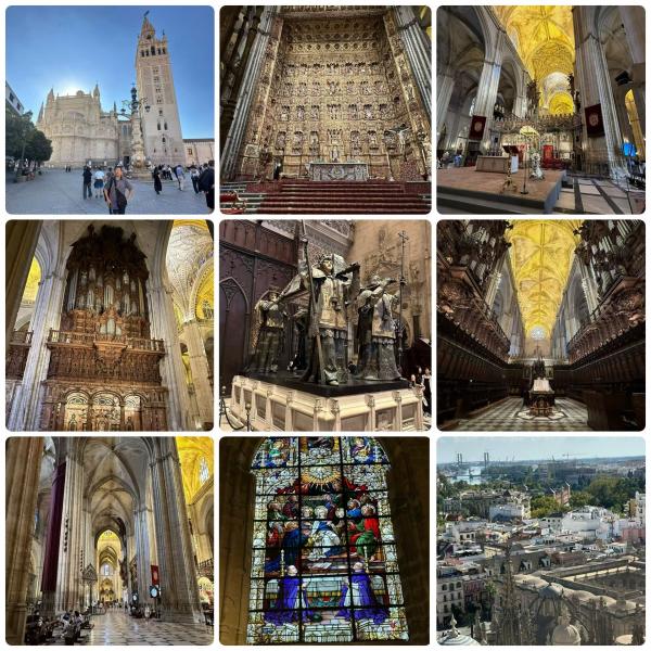 1764599955623946.jpg DE972CA1-0D89-4813-8B71-8F2FDCD92A28.jpg