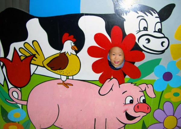 X_2004-06-11_Merrymead Farm.JPG