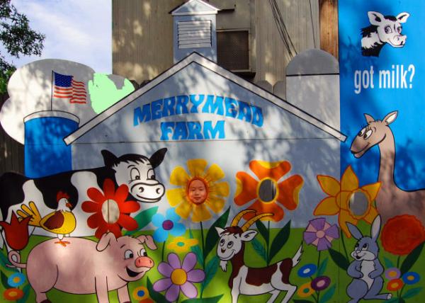 X_2007-08-26_Merrymead Farm.JPG