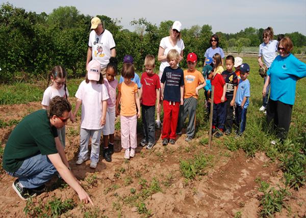 2008-06-03_Willow Creek Orchards_Potato Patch.jpg