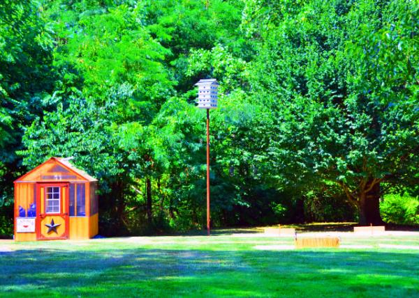 2022-07-23_Anthony Morris House_Backyard-20001.JPG