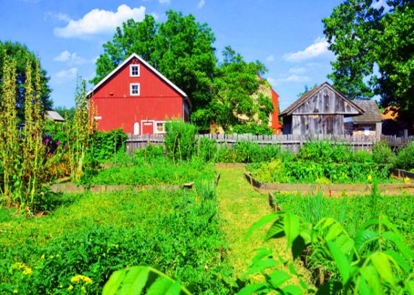 2022-07-23_Peter Wentz Homestead_Outbuildings0001.JPG