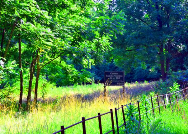 2022-07-23_Briar Hill Preserve0001.JPG