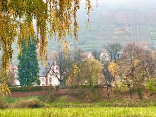 1764692270606157.jpg IMG_1613.jpg