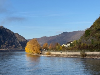 1764692270669905.jpg IMG_1571.jpg