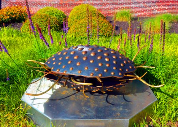 2022-07-23_Ambler Boiler House_Sea Spider0001.JPG