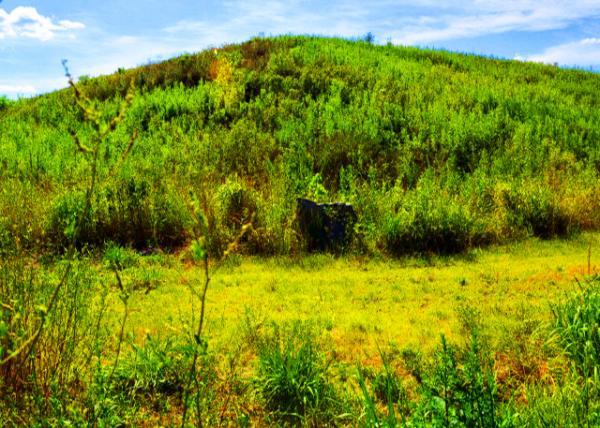 2022-07-30_BoRit Asbestos-10001.JPG