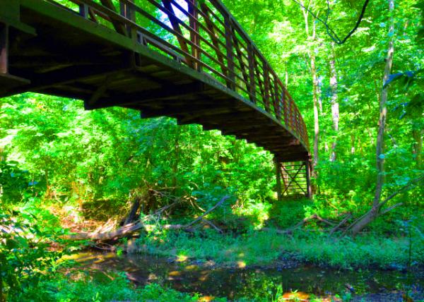 2022-07-30_Four Mills Nature Reserve_Bridge over the Wissahickon Creek0001.JPG