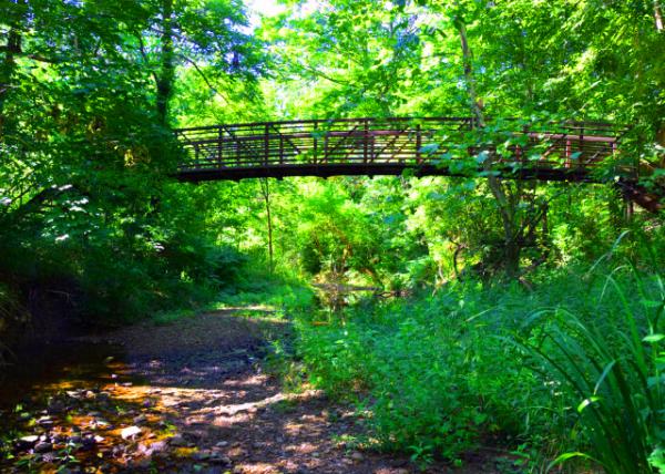 2022-07-30_Four Mills Nature Reserve_Rotary Bridge-10001.JPG