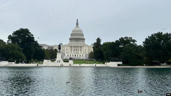 1764810990248538.jpeg IMG_5072.jpeg