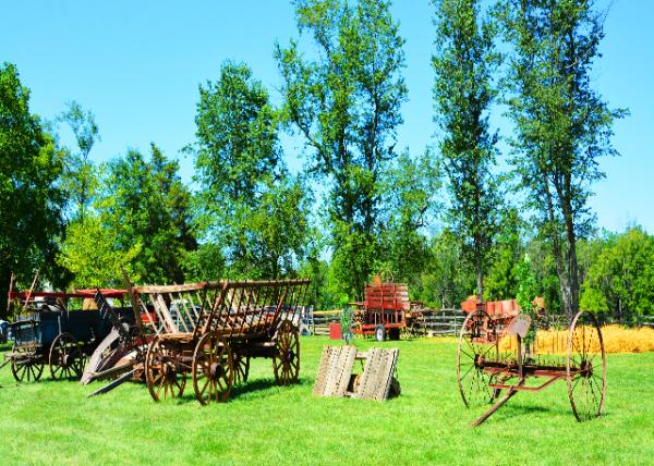 2022-08-14_Henry Antes Plantation_Wagonload of rye to be threshed & thatched0001.JPG